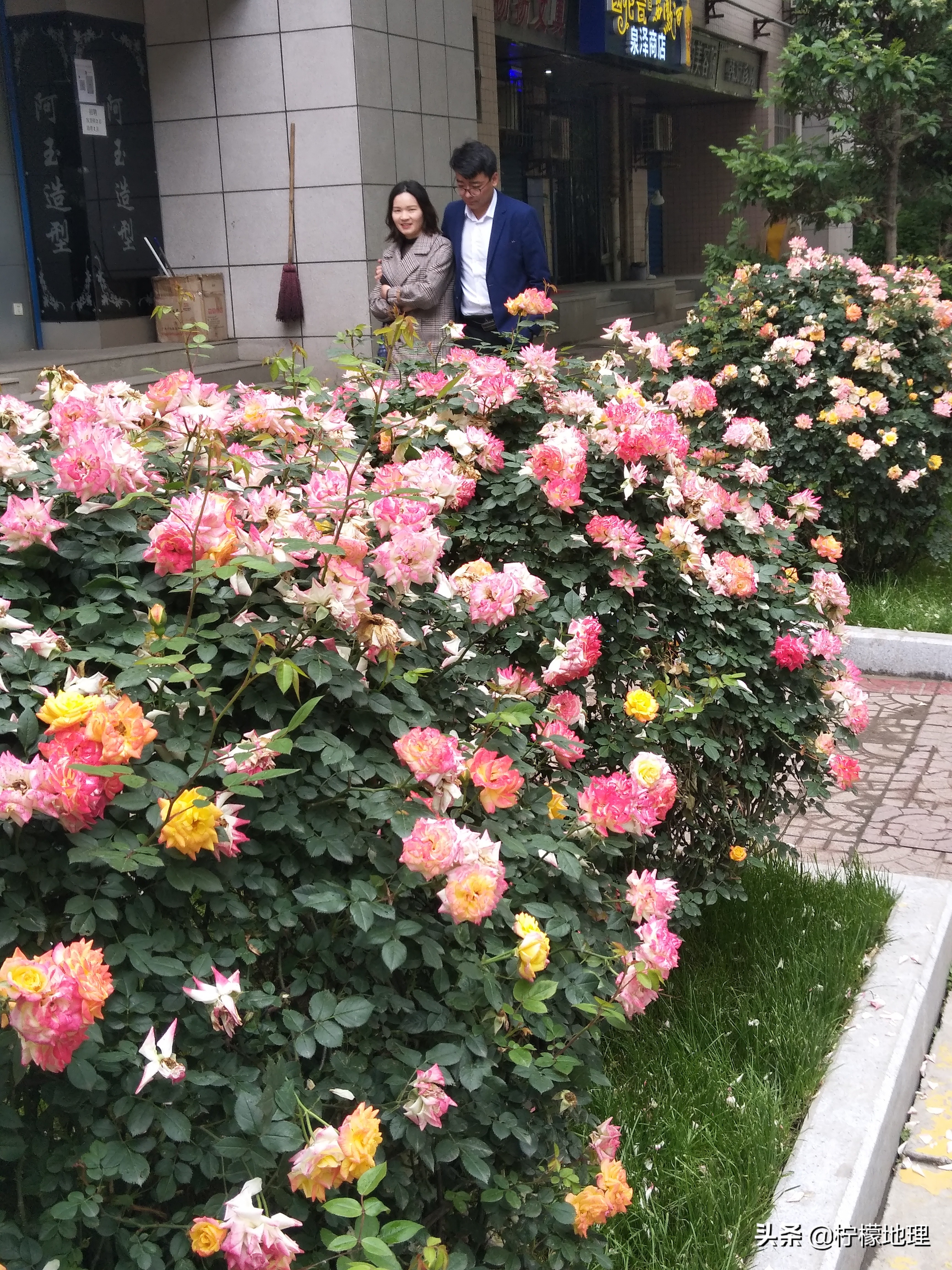 街拍中国北中轴路上看放花的人们,西安哪条街花好看