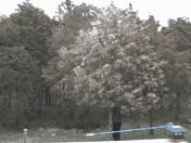 越痒越搔，越搔越痒，怎么办？