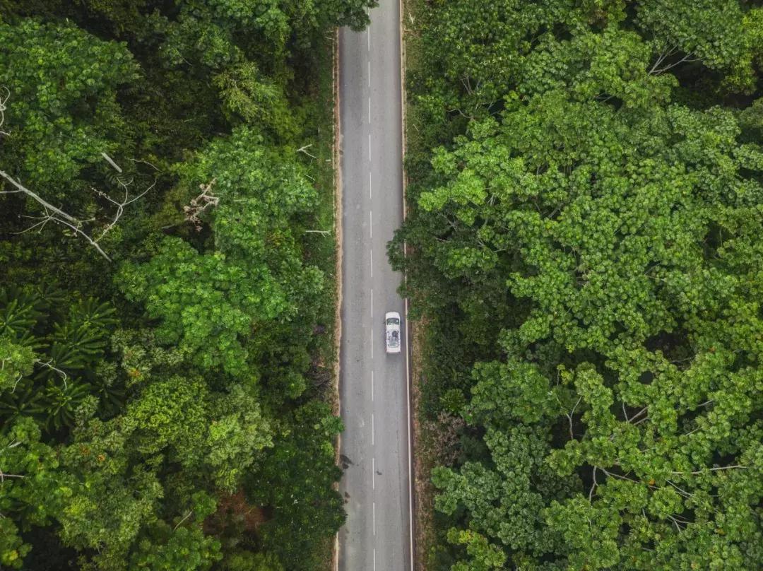 上海到南非海运多少公里,从香港到南非