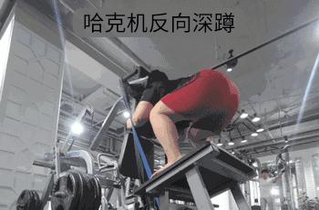 练腿促睾会脱发吗,练腿会提升睾酮吗