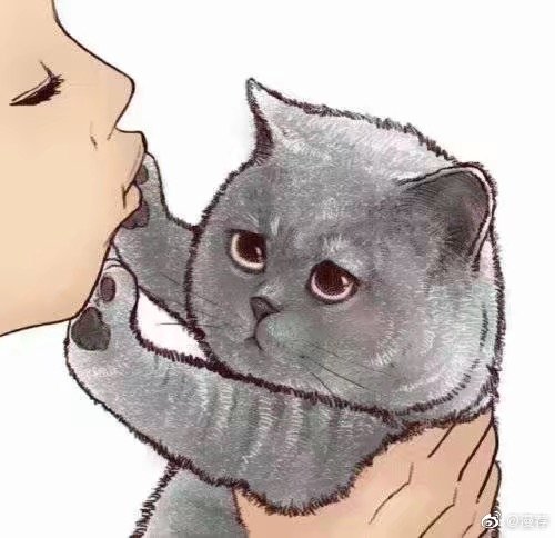 喵星人漫画推荐,绘画漫画喵星人