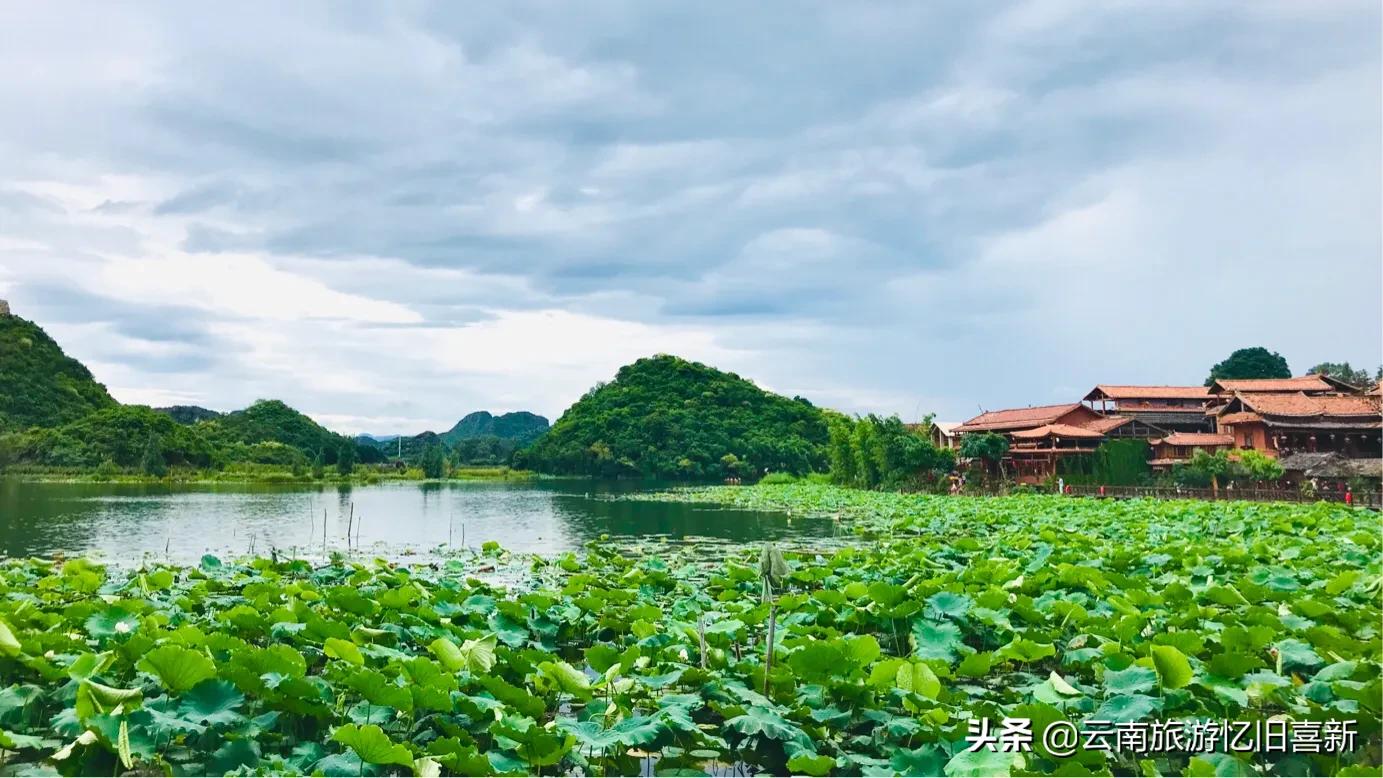 普者黑自驾游攻略,自驾云南普者黑景区攻略