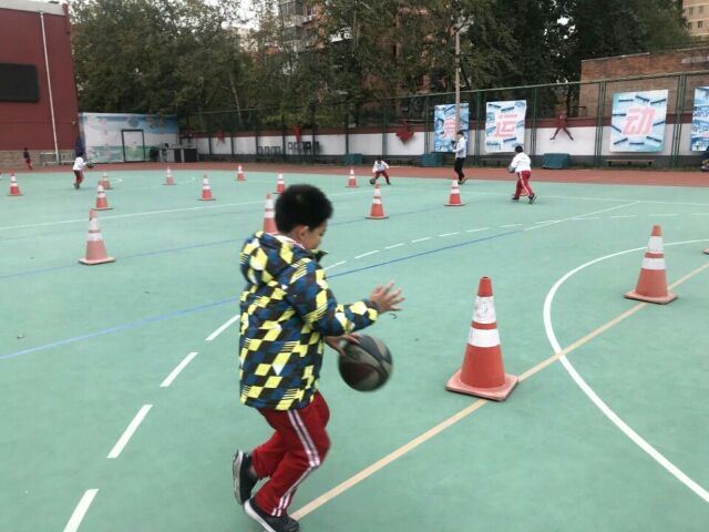 不鸣则已一鸣惊人原文,做到不鸣则鸣一鸣惊人