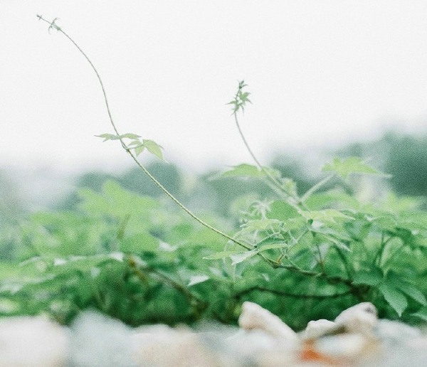 家有洁癖强迫症的孩子怎么办,强迫症患者怎样调理心态