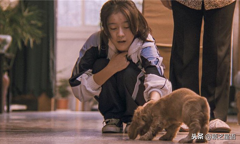 张雪迎演狗十三的时候多少岁,张雪迎狗十三首次挑战半路夫妻