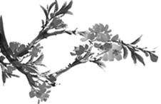 苏轼眼中的惠州,苏东坡生活过的江南惠州