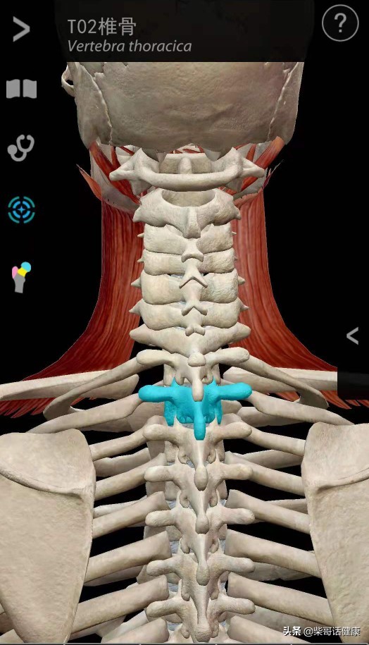 用3D来脊柱体表定位简单多了