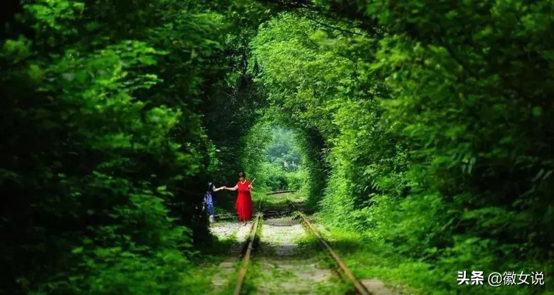 合肥:家住肥东,牛哄哄