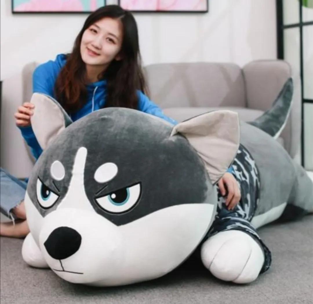 四本幽默搞笑小说笑点十足剧情,搞笑小说推荐全篇