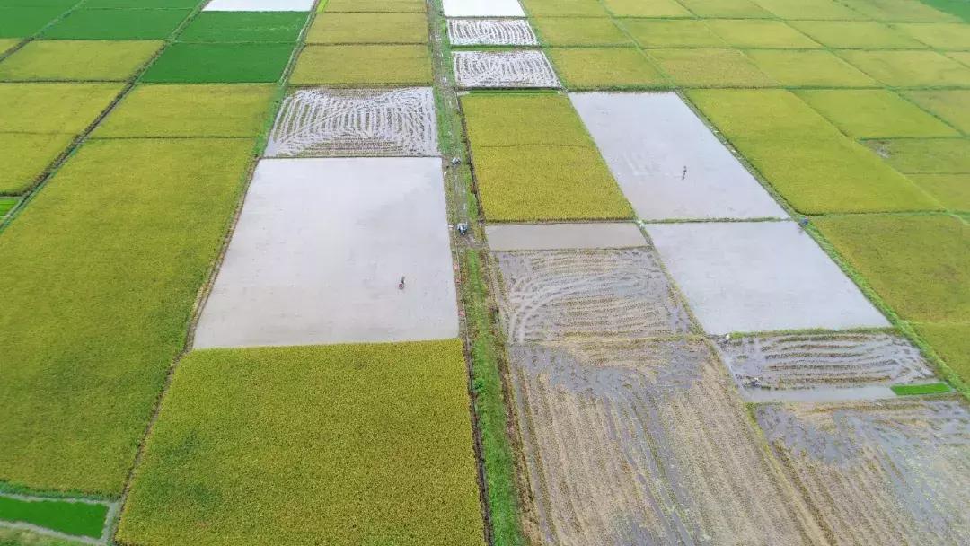 乡村振兴债券在哪里交易,企业发行乡村振兴债券的好处