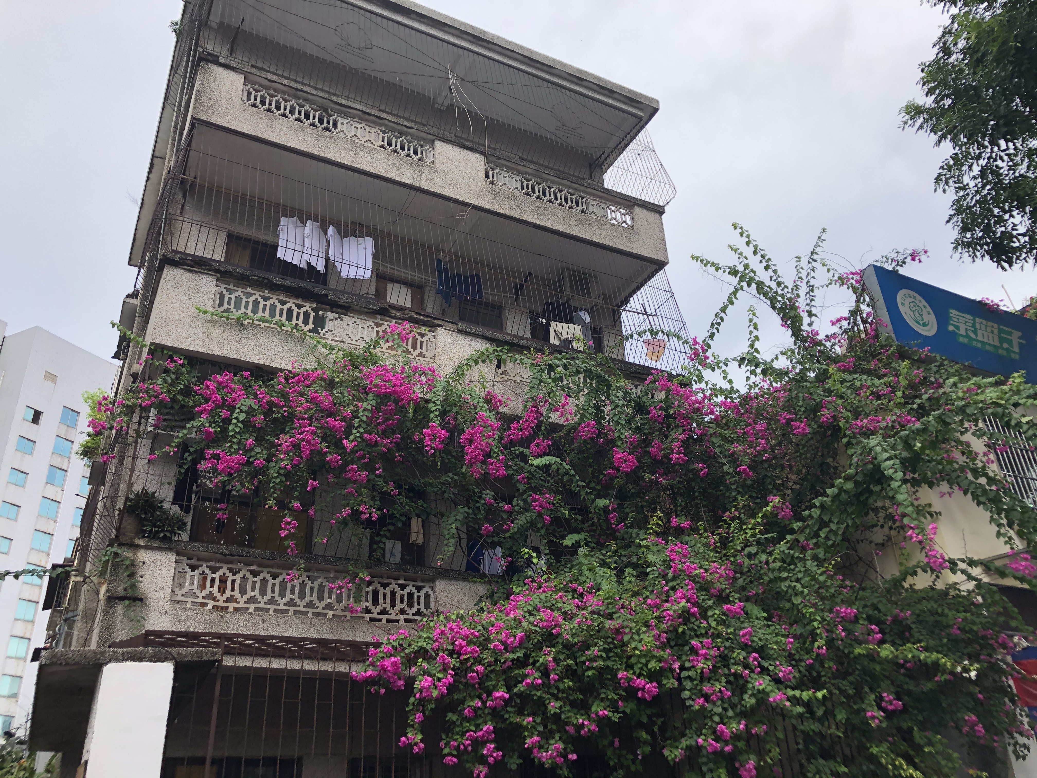 海口为什么容易出现内涝,海口小区内涝