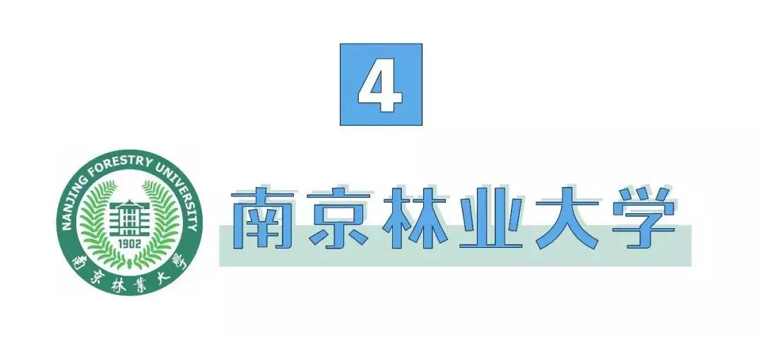 南京高校食堂最强评鉴，你报考的学校上榜了吗？