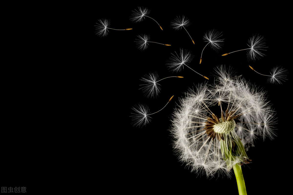 小孩一上学就说头痛怎么正确引导,孩子喊妈妈头疼