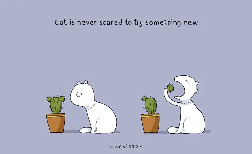 100张可爱猫咪图,超可爱的猫咪画法