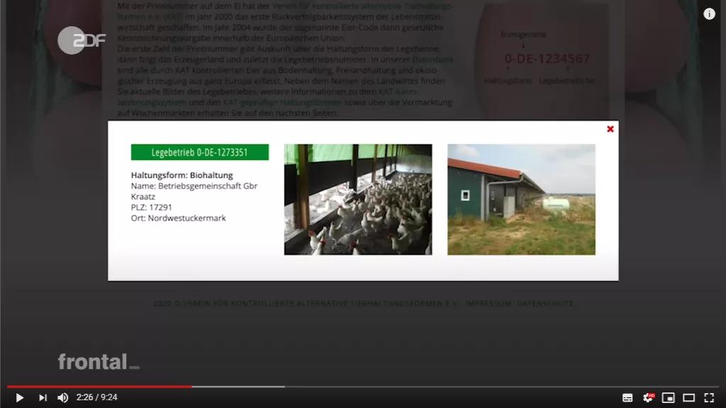 市场上的有机鸡蛋是真还是假,德国记者采访视频