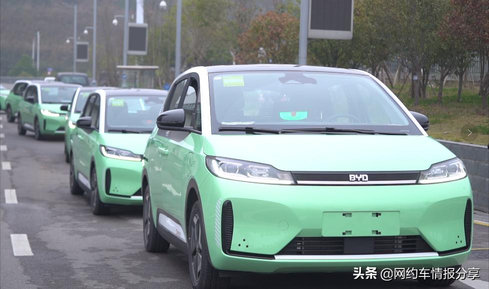 滴滴d1司机招募条件,滴滴d1招募