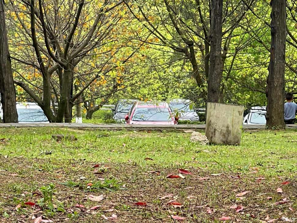 成都人会玩的景点,成都凤凰山公园可以爬山吗