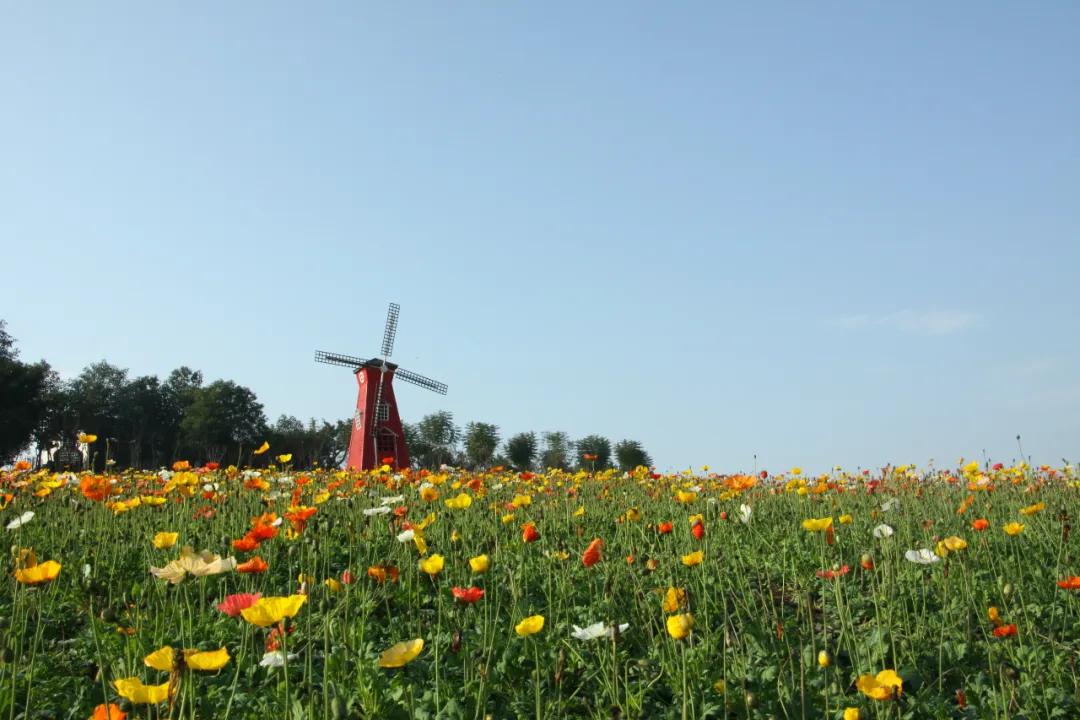 精品旅游线路乡村游亲子游,四川几大精品旅游线路