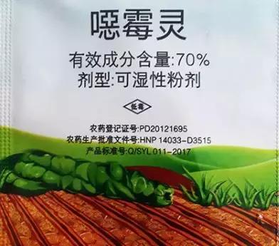 黑腐不用怕，这三种便宜药轻松全解决