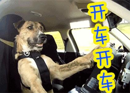 北辰区电子警察汇总,北辰区电子警察