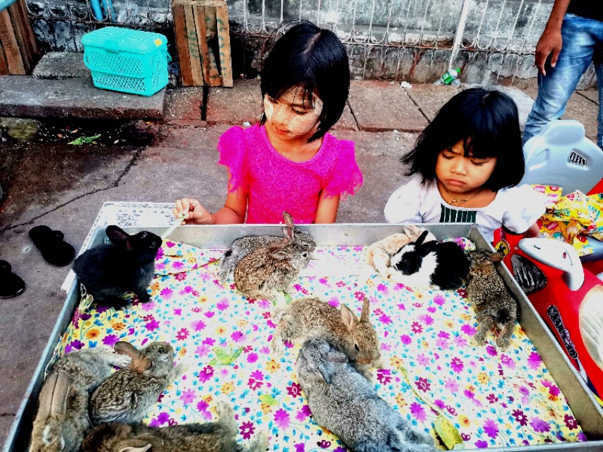 小白第一次怎么去泰国,小白第一次去韩国旅游