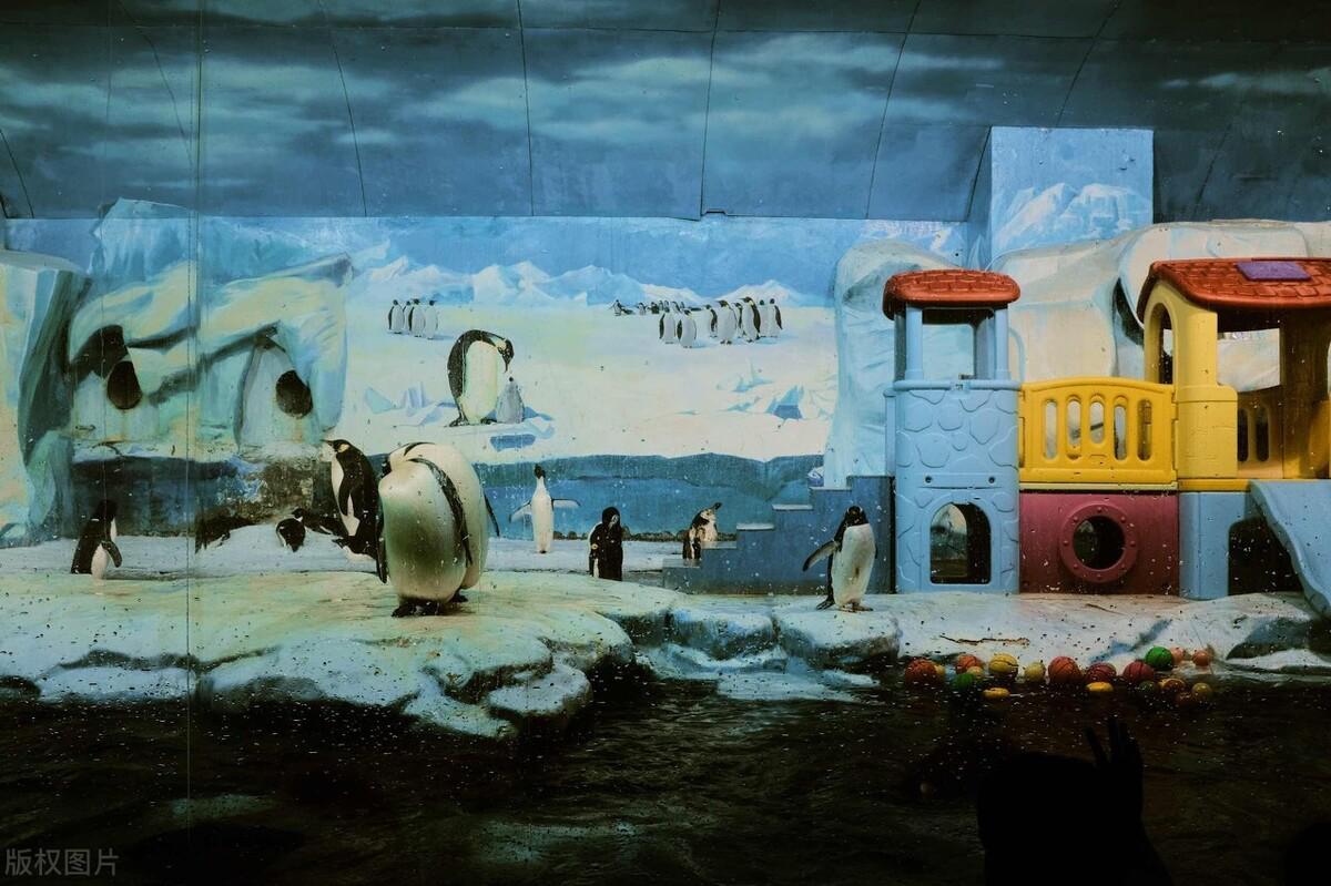 天津极地海洋馆两大一小攻略,天津第一地标