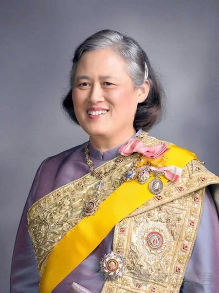 泰国64岁诗琳通公主心脏不适，暂定工作入院治疗，暂不需要手术