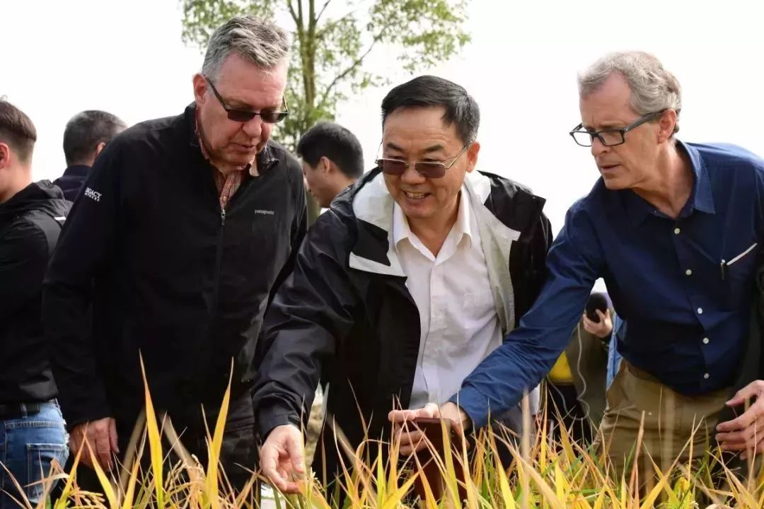 全国第一！华中农业大学真是太太太牛了