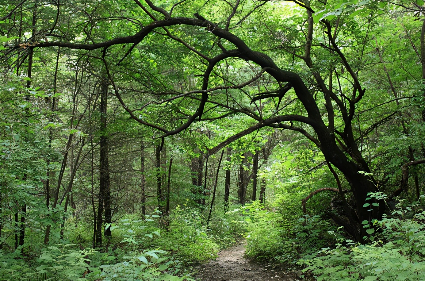 宝天曼漂流团游,宝天曼景区一日游攻略最新