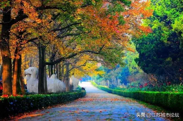 台湾学生拍电影,台湾mycity