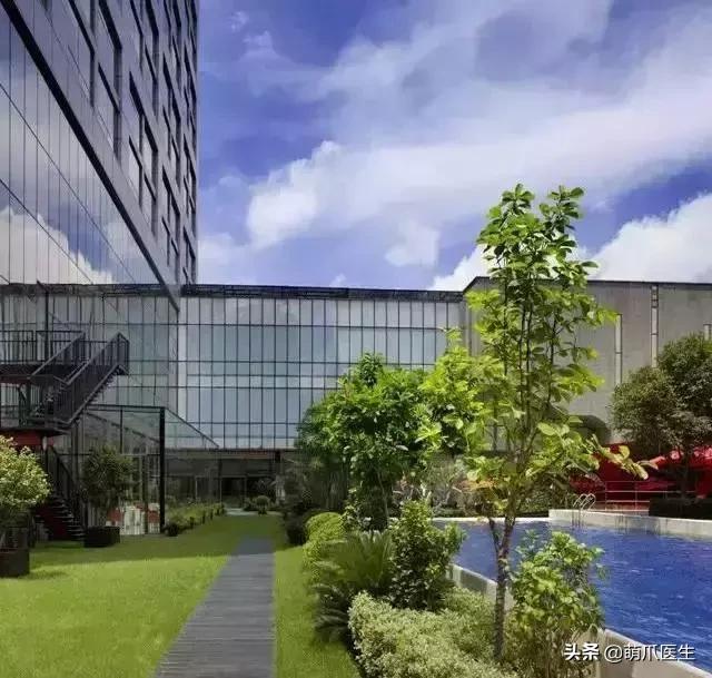 带宠物住宿酒店,带宠旅行酒店