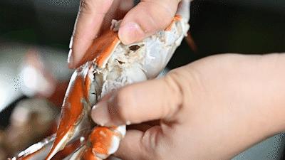 秦皇岛海浪花天桥海鲜批发市场,秦皇岛海浪花批发市场在哪