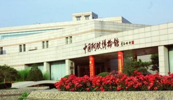 聊城游玩推荐景点有哪些,聊城哪里好玩免费景点一日游推荐