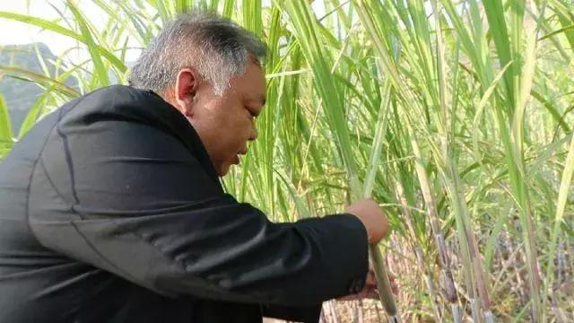 祝98岁生日快乐,祝98岁生日快乐视频