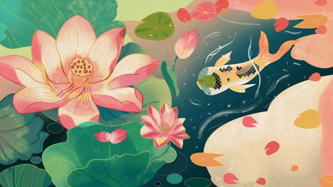 白写锦鲤鉴赏,精品红白锦鲤鉴赏