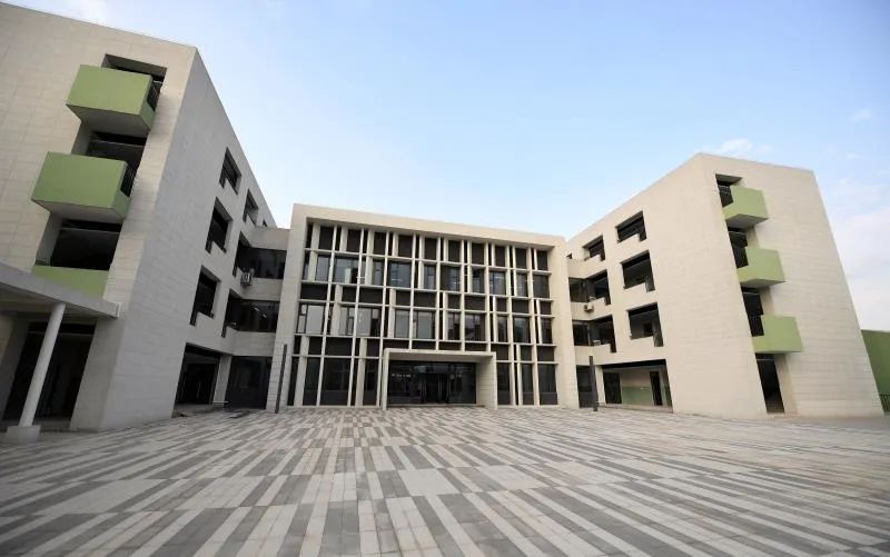 南京外国语仙林分校华侨城小学,南京仙林分校华侨城小学怎么样