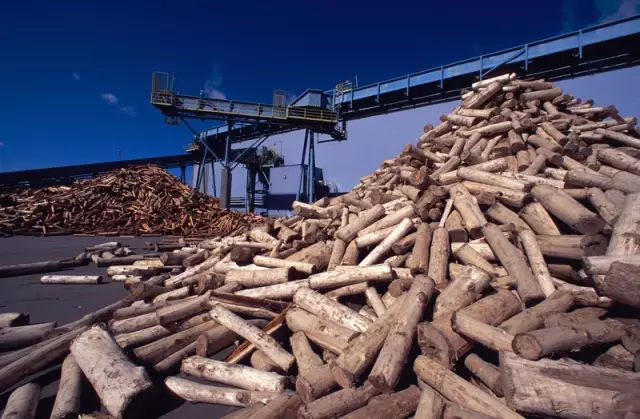 漂白纸与本色纸的区别,本色纸是什么颜色的纸