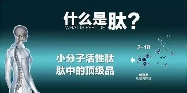 一个关于金盏花的美丽故事--莫小在金盏花舒缓悦养面霜