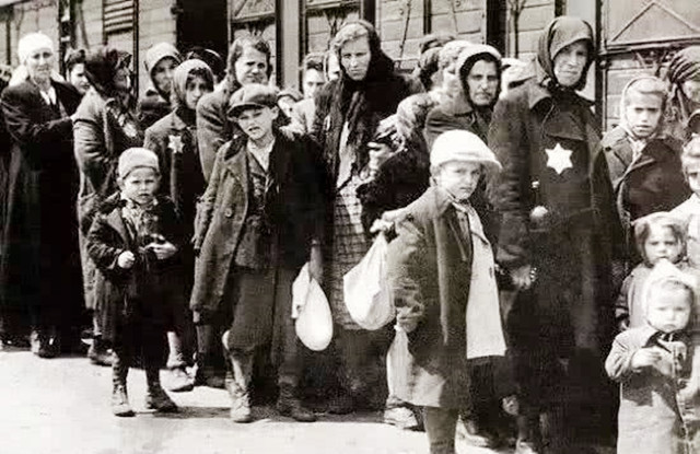 开封犹太人在以色列,开封犹太人回以色列后怎么样了