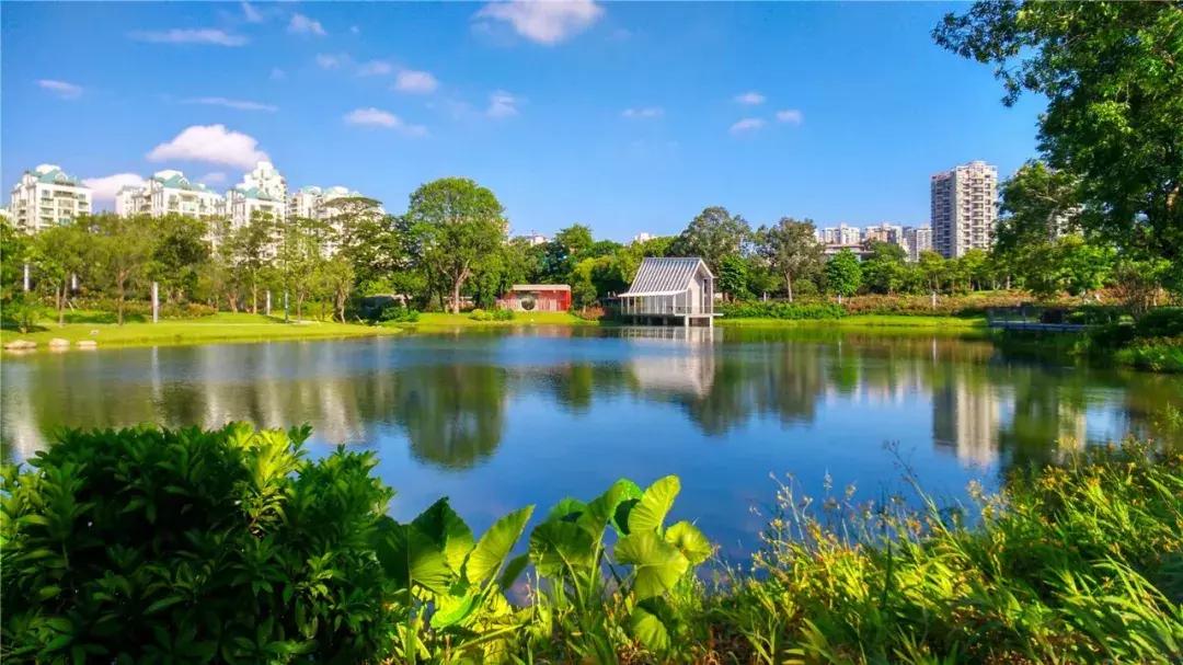 深圳最美婚姻登记处怎么预约,深圳哪个区结婚登记处最美