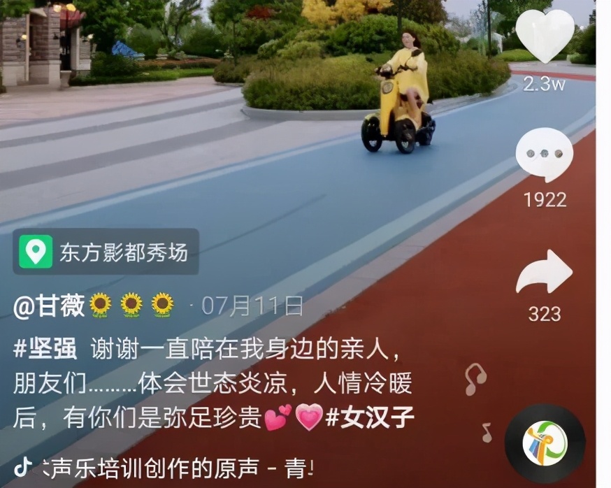 甘薇负债,甘薇资产负债多少亿