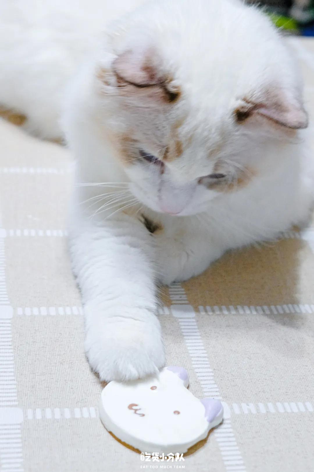 买咖啡送盲盒,麦咖啡晚上卖吗