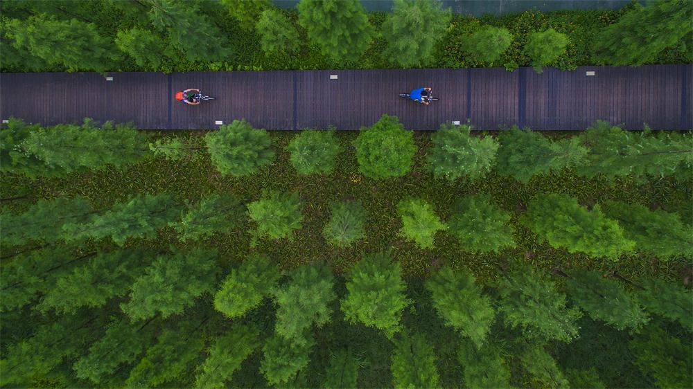 广东幸福指数最高的市,广州市天河区东部城区