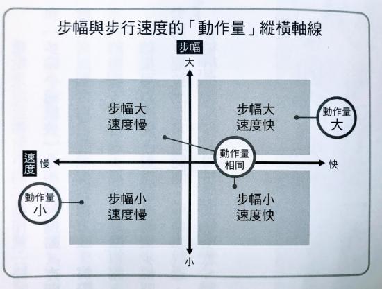 走得快、步伐大较长寿！专家教你：计算最适步幅与速度
