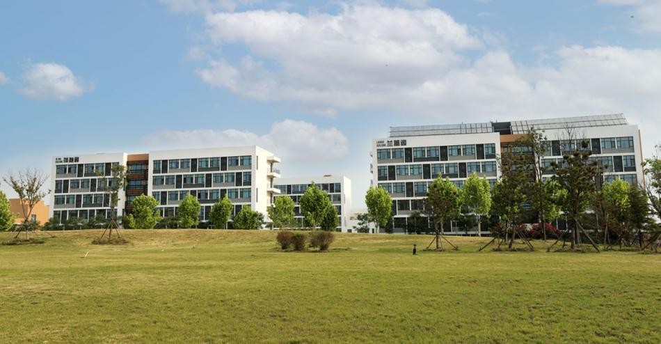 青岛幼儿师范高等专科学校管理,青岛幼儿师范高等专科学校官网