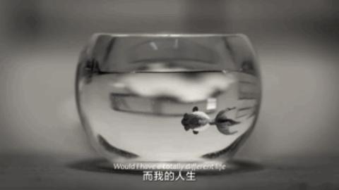 定格动画治愈系短片,定格动画电影一个女孩