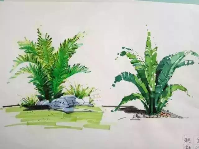 初学者如何选择马克笔的色系,马克笔的常用技法有哪三种