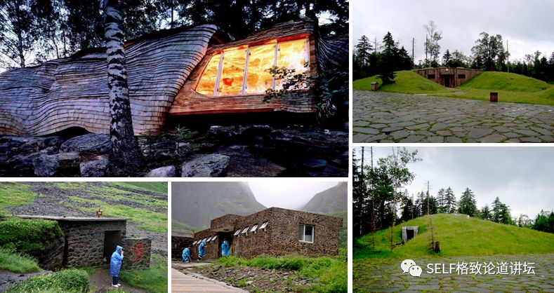 新疆天山申请世界自然遗产,天山为什么被入选为世界自然遗产