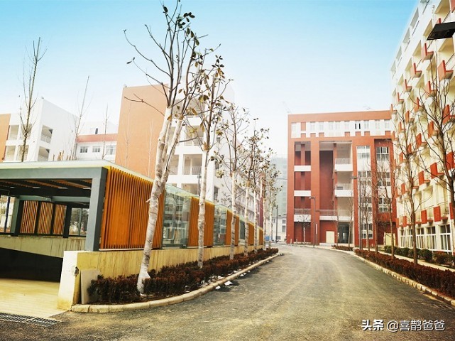 郑州外国语中学初中实验视频,郑州外国语初中和郑州实验外国语