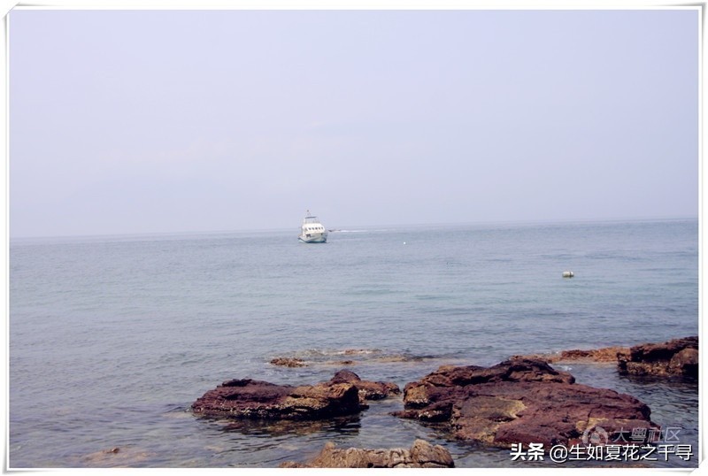 深圳市杨梅坑美人鱼拍摄基地,深圳大鹏杨梅坑美人鱼拍摄地点